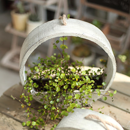 Artisan Wooden Floral Holders
